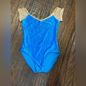 Blue and Tan Leotard